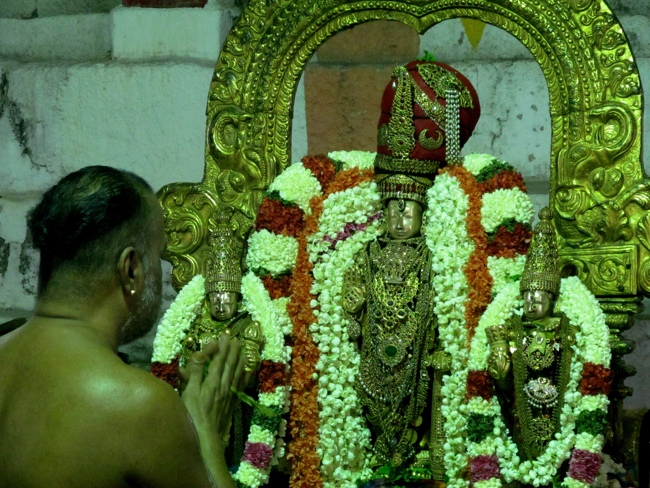 Thiruvallur Sri Veeraraghava Perumal Aani Theppotsavam Day 3 28-06-2014   18