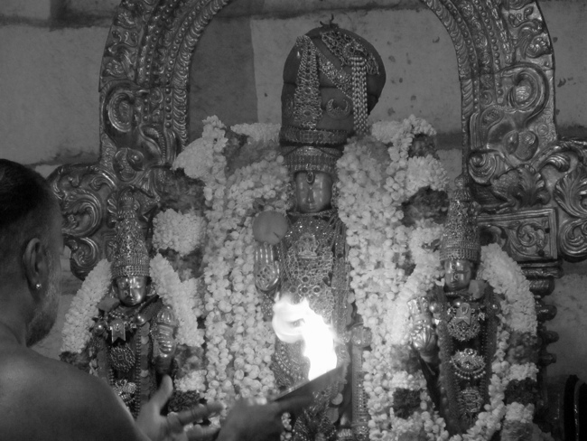 Thiruvallur Sri Veeraraghava Perumal Aani Theppotsavam Day 3 28-06-2014   19