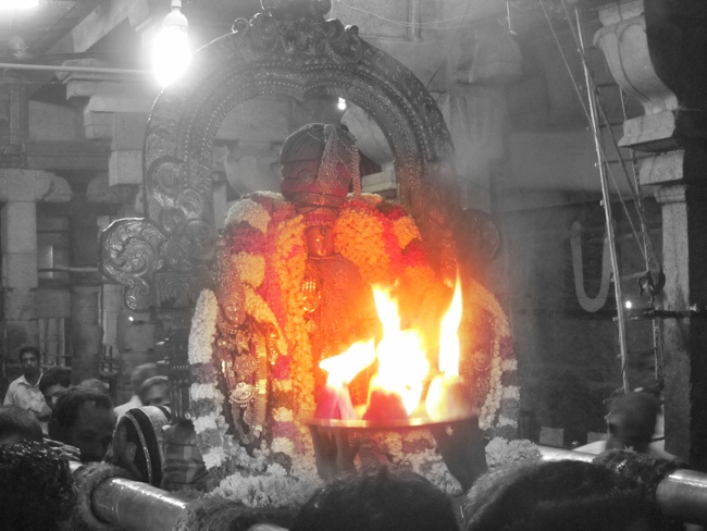 Thiruvallur Sri Veeraraghava Perumal Aani Theppotsavam Day 3 28-06-2014   33