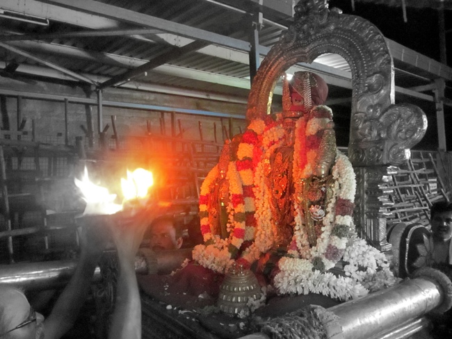 Thiruvallur Sri Veeraraghava Perumal Aani Theppotsavam Day 3 28-06-2014   39