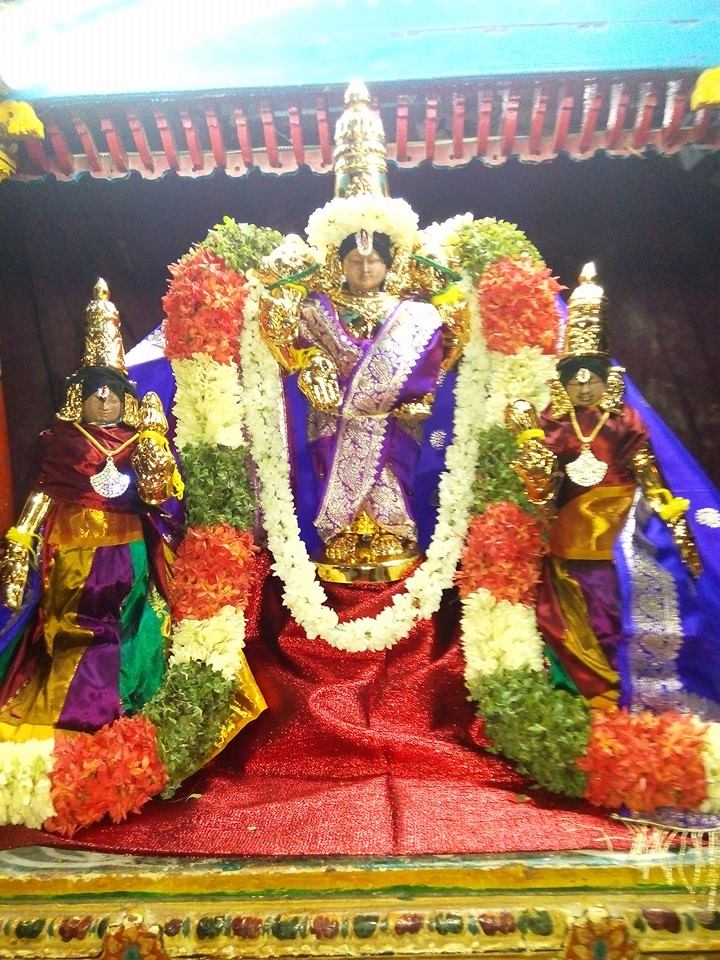 Thiruvenkadamudyan Ariyakudi Vikasi Thiruvizha