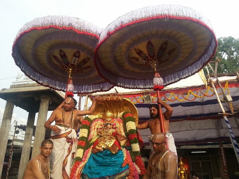 Tirupathi Govindarajaswamy Chinna Sesha Vahanam1