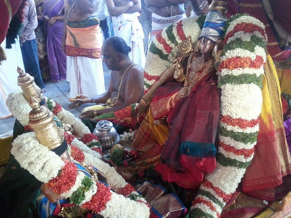Tirupathi Govindarajaswamy Choornabhishekam3