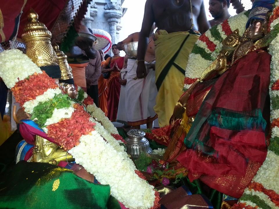 Tirupathi Govindarajaswamy Choornabhishekam8