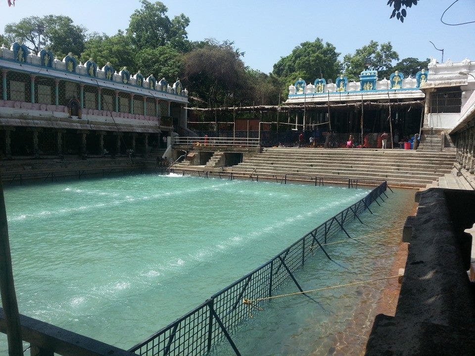 Tirupathi Govindarajaswamy Choornabhishekam9