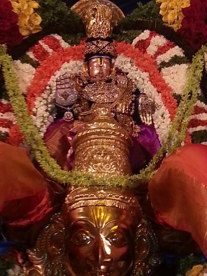 Tirupathi Govindarajaswamy Garuda Sevai1