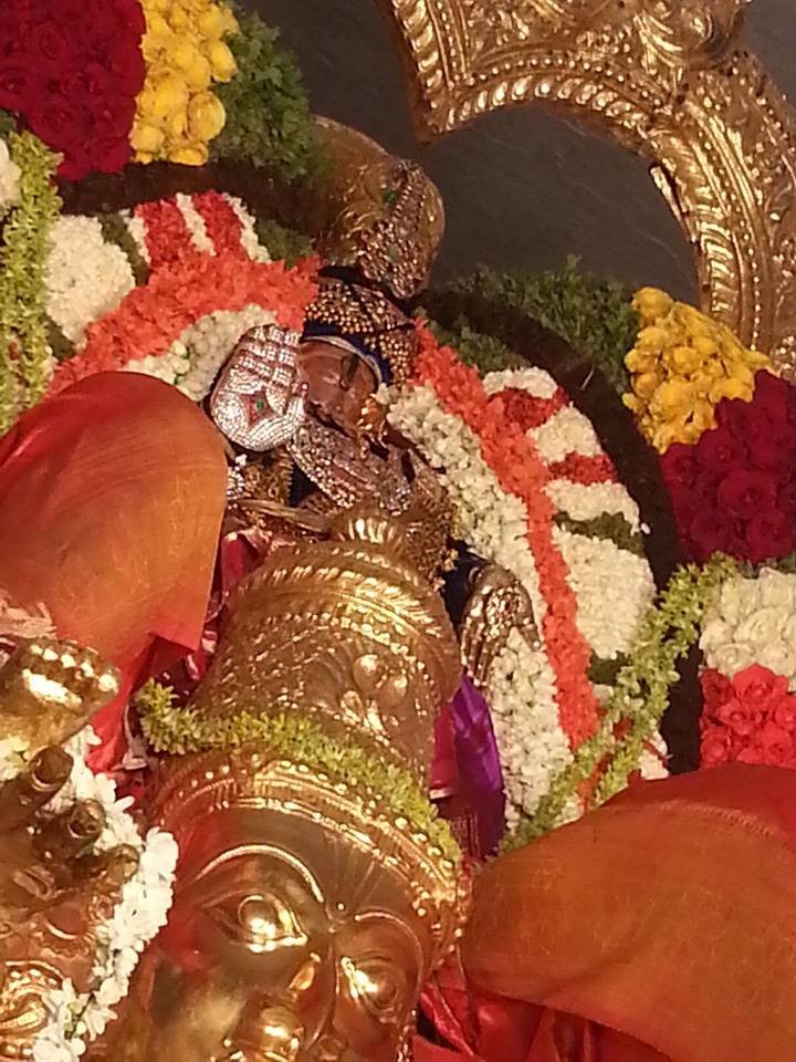 Tirupathi Govindarajaswamy Garuda Sevai4