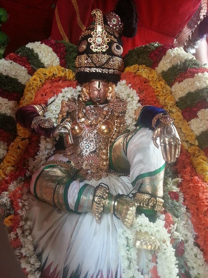 Tirupathi Govindarajaswamy Mohini Alankaram4