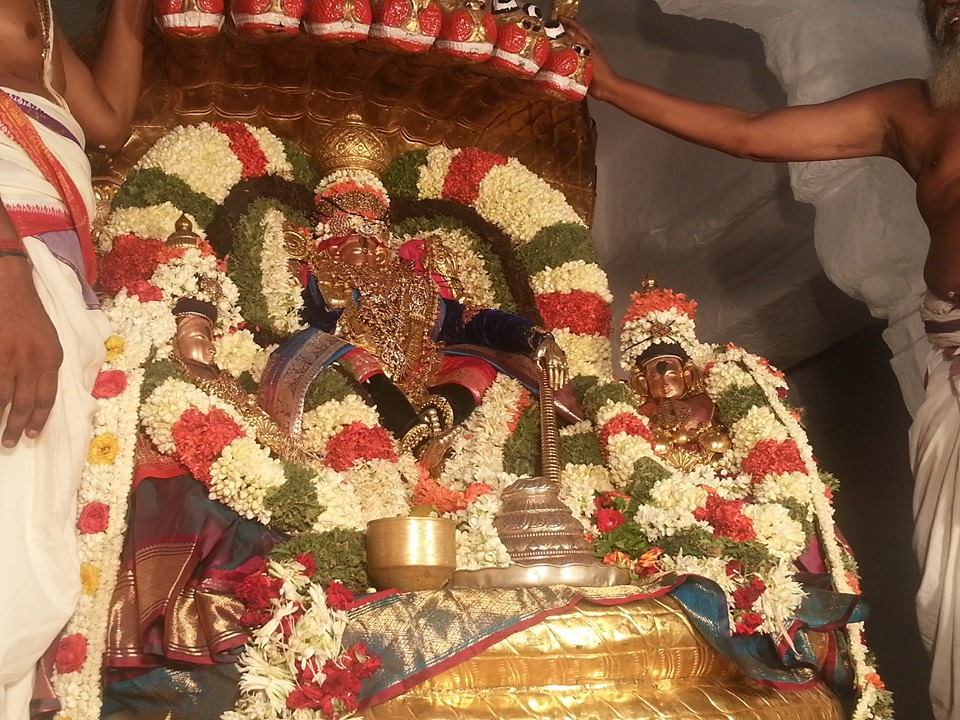 Tirupathi Govindarajaswamy Pedda Sesha Vahanam4
