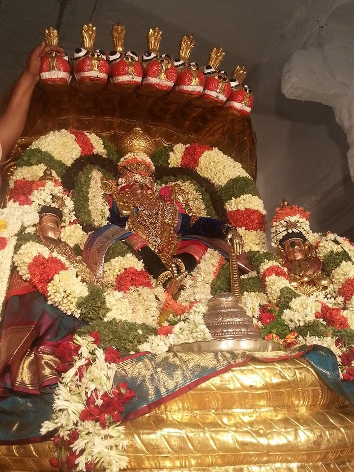 Tirupathi Govindarajaswamy Pedda Sesha Vahanam5