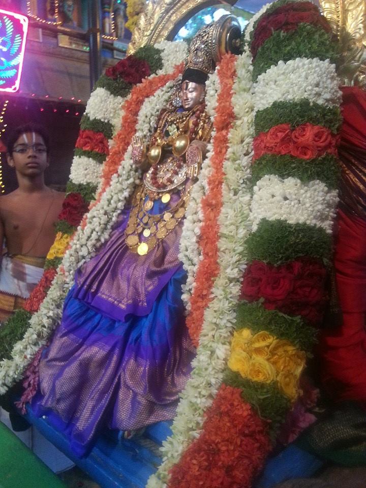 Tirupathi Govindarajaswamy Pundareekavalli Thayar