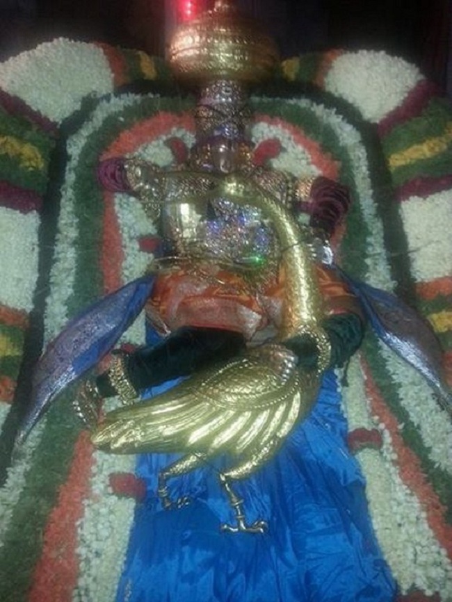 Tirupathi Sri Govindaraja Swamy Temple Jaya Varusha Brahmotsavam1