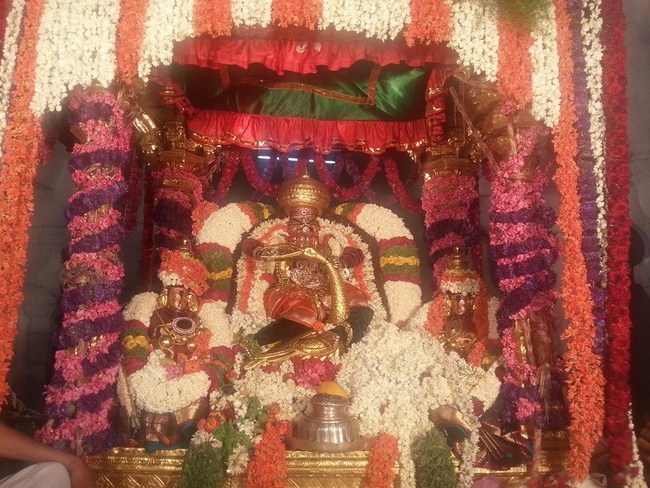 Tirupathi Sri Govindaraja Swamy Temple Jaya Varusha Brahmotsavam4