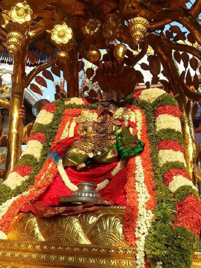 Tirupathi Sri Govindaraja Swamy Temple Jaya Varusha Brahmotsavam5