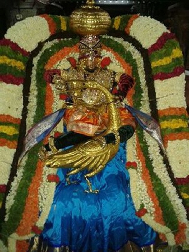 Tirupathi Sri Govindaraja Swamy Temple Jaya Varusha Brahmotsavam7