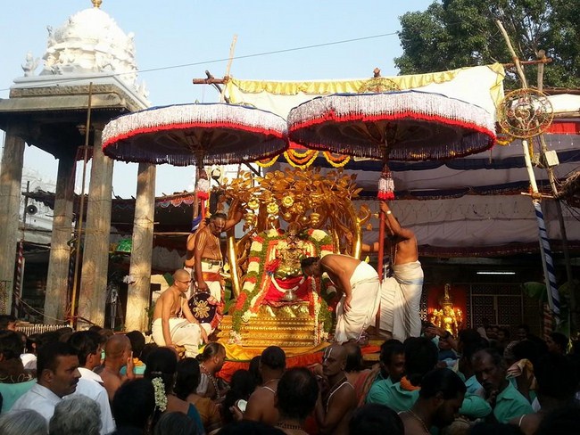 Tirupathi Sri Govindaraja Swamy Temple Jaya Varusha Brahmotsavam8