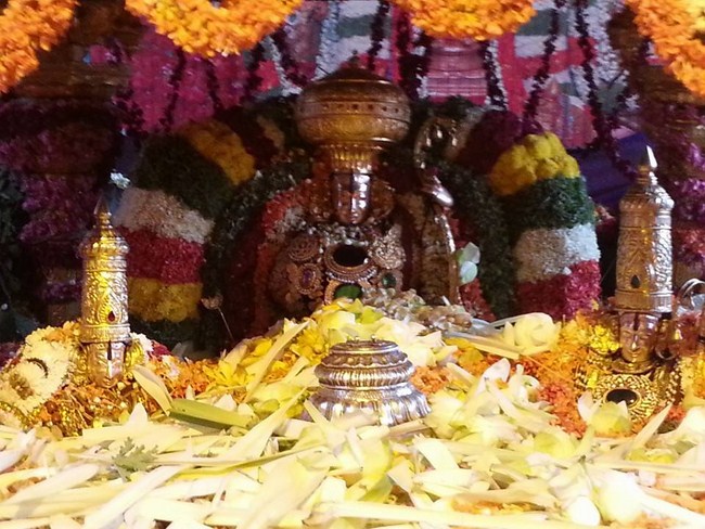 Tirupathi Sri Kothanda Ramar Temple Pushpa Yagam1