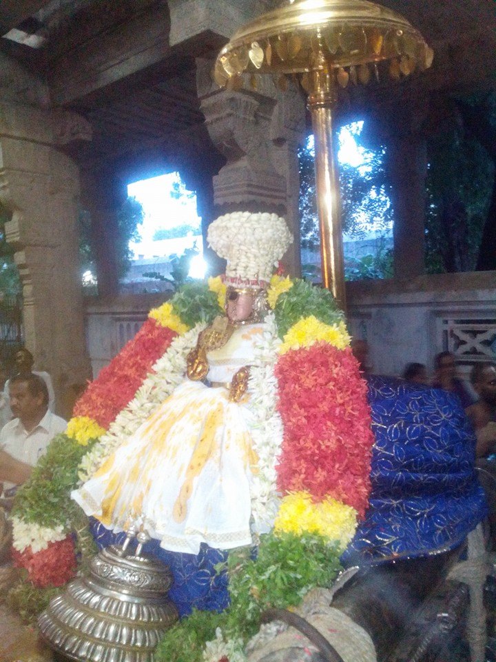 Uraiyur Kamalavalli Thayar Kodai Utsavam