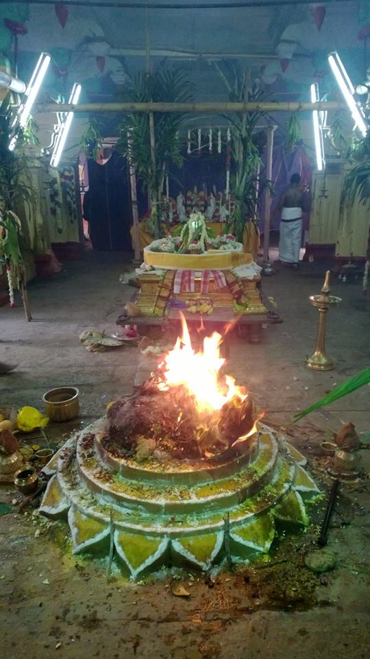 Vanamamalai Lokakshema Mahasanthi Homam5