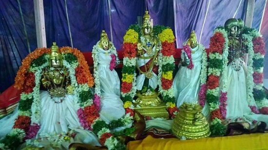 Vanamamalai Sri Deivanayaga Perumal Temple Thiruooral Uthsavam8