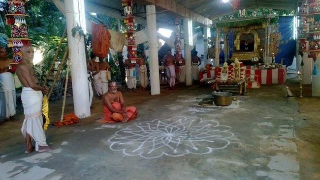 Vanamamalai Sri Deivanayaga Perumal Temple Vasanthotsavam 11