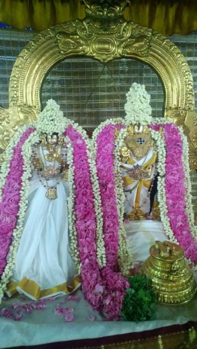 Vanamamalai Sri Deivanayaga Perumal Temple Vasanthotsavam 13