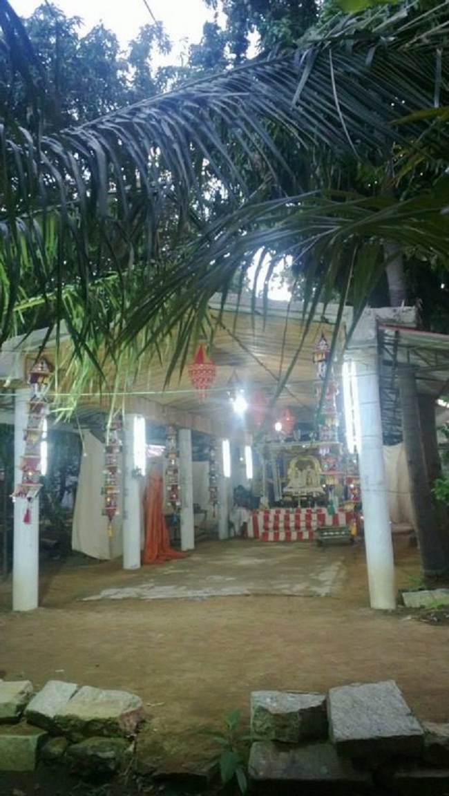 Vanamamalai Sri Deivanayaga Perumal Temple Vasanthotsavam 14