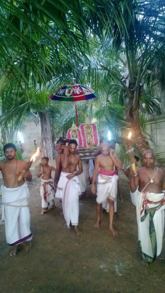Vanamamalai Sri Deivanayaga Perumal Temple Vasanthotsavam 15