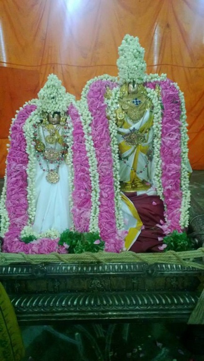 Vanamamalai Sri Deivanayaga Perumal Temple Vasanthotsavam 18