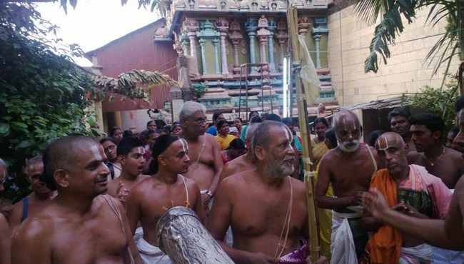 Vanamamalai Sri Deivanayaga Perumal Temple Vasanthotsavam 2