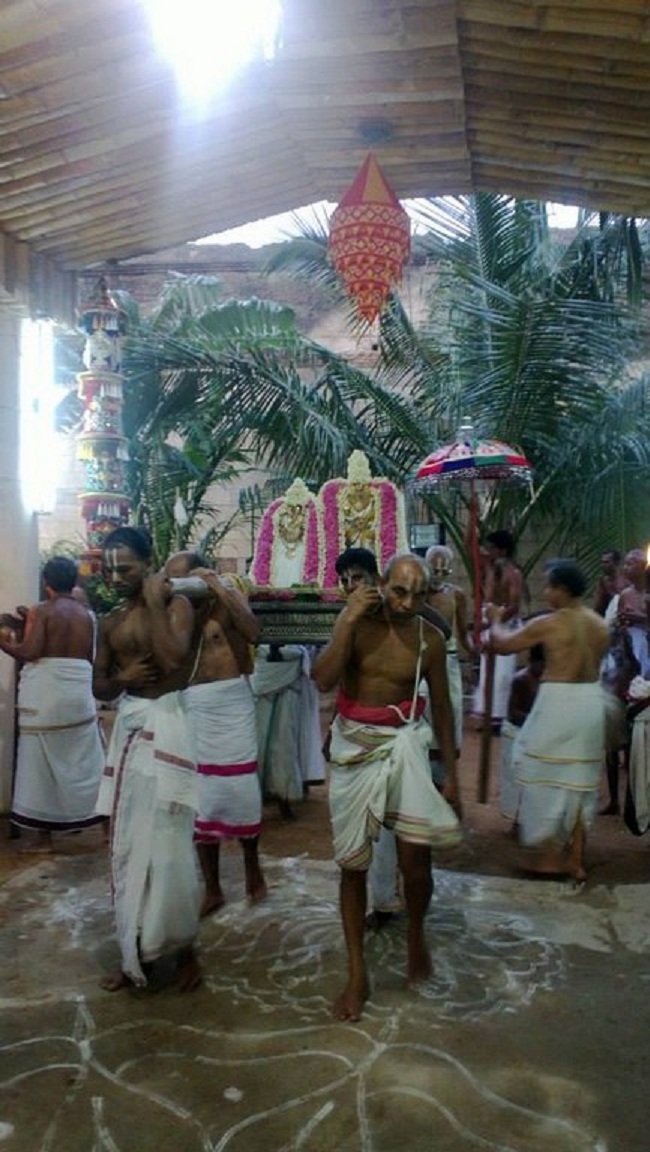 Vanamamalai Sri Deivanayaga Perumal Temple Vasanthotsavam 3