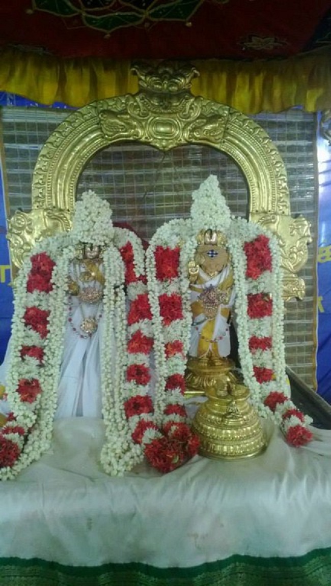 Vanamamalai Sri Deivanayaga Perumal Temple Vasanthotsavam 4