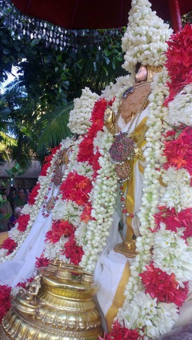 Vanamamalai Sri Deivanayaga Perumal Temple Vasanthotsavam 6