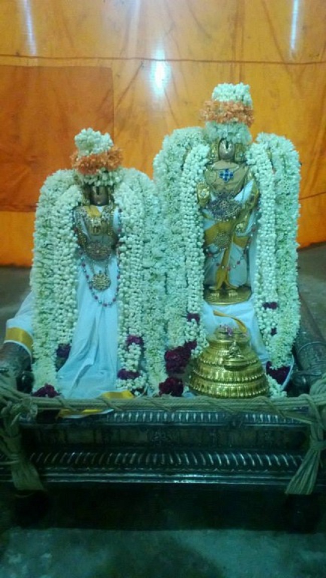 Vanamamalai Sri Deivanayaga Perumal Temple Vasanthotsavam 7