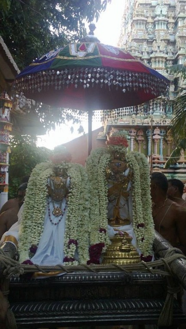 Vanamamalai Sri Deivanayaga Perumal Temple Vasanthotsavam 8