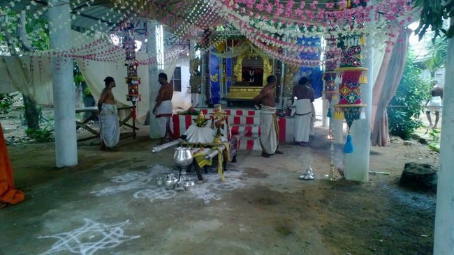 Vanamamalai Sri Deivanayaga Perumal Temple Vasanthotsavam10