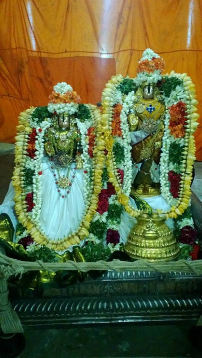 Vanamamalai Sri Deivanayaga Perumal Temple Vasanthotsavam11