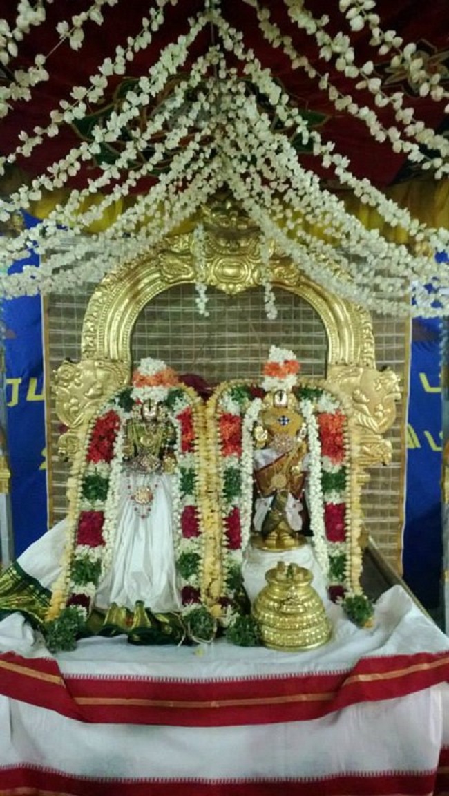Vanamamalai Sri Deivanayaga Perumal Temple Vasanthotsavam12