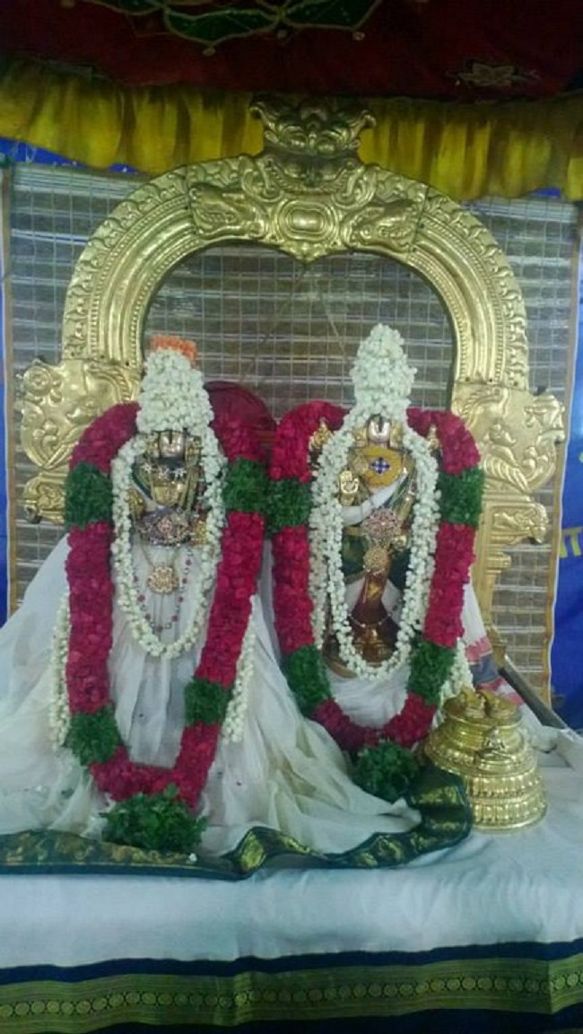 Vanamamalai Sri Deivanayaga Perumal Temple Vasanthotsavam14