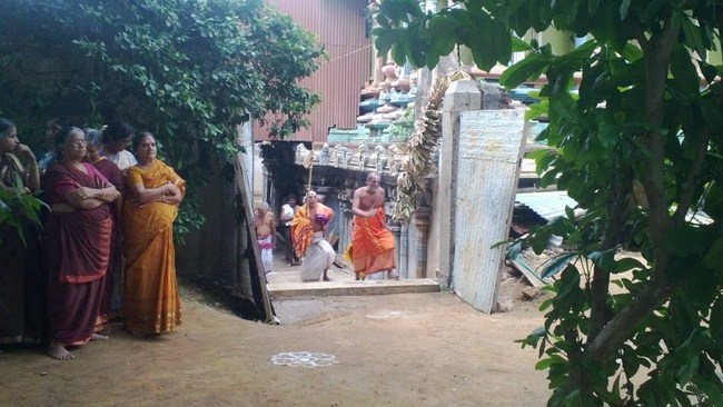 Vanamamalai Sri Deivanayaga Perumal Temple Vasanthotsavam18