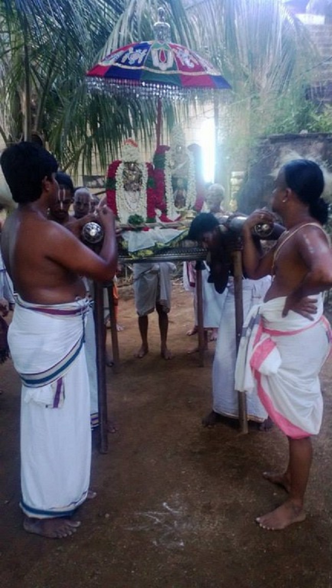 Vanamamalai Sri Deivanayaga Perumal Temple Vasanthotsavam19
