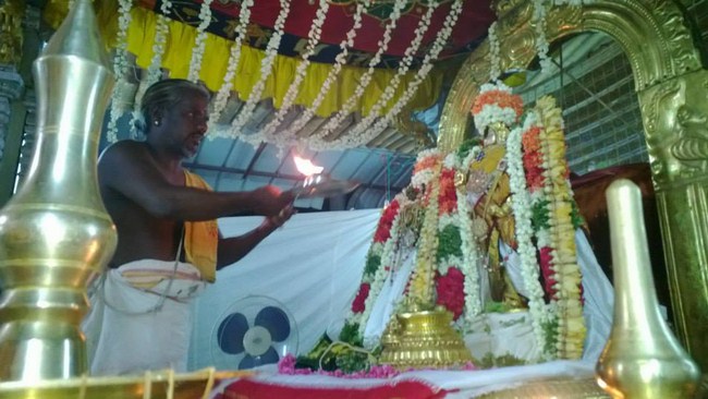 Vanamamalai Sri Deivanayaga Perumal Temple Vasanthotsavam21