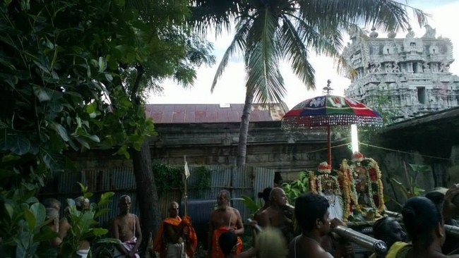 Vanamamalai Sri Deivanayaga Perumal Temple Vasanthotsavam24