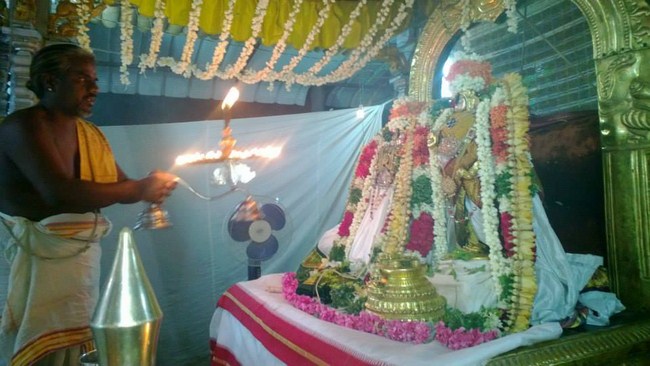 Vanamamalai Sri Deivanayaga Perumal Temple Vasanthotsavam26