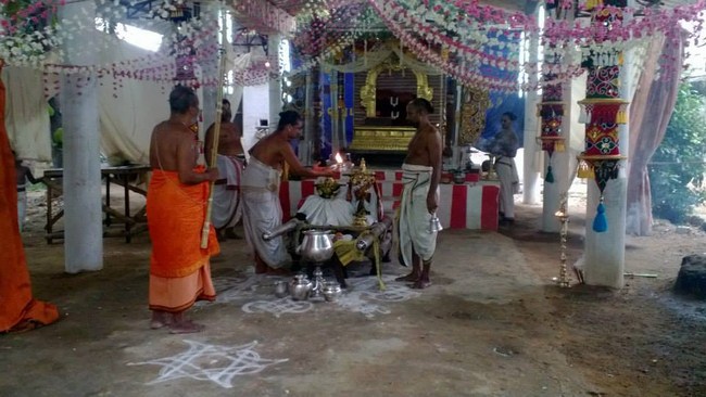 Vanamamalai Sri Deivanayaga Perumal Temple Vasanthotsavam29