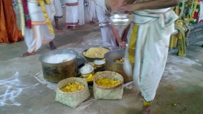 Vanamamalai Sri Deivanayaga Perumal Temple Vasanthotsavam3