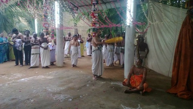Vanamamalai Sri Deivanayaga Perumal Temple Vasanthotsavam34