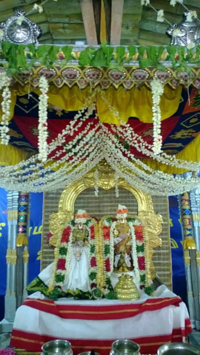 Vanamamalai Sri Deivanayaga Perumal Temple Vasanthotsavam7