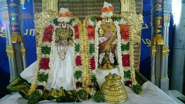 Vanamamalai Sri Deivanayaga Perumal Temple Vasanthotsavam8