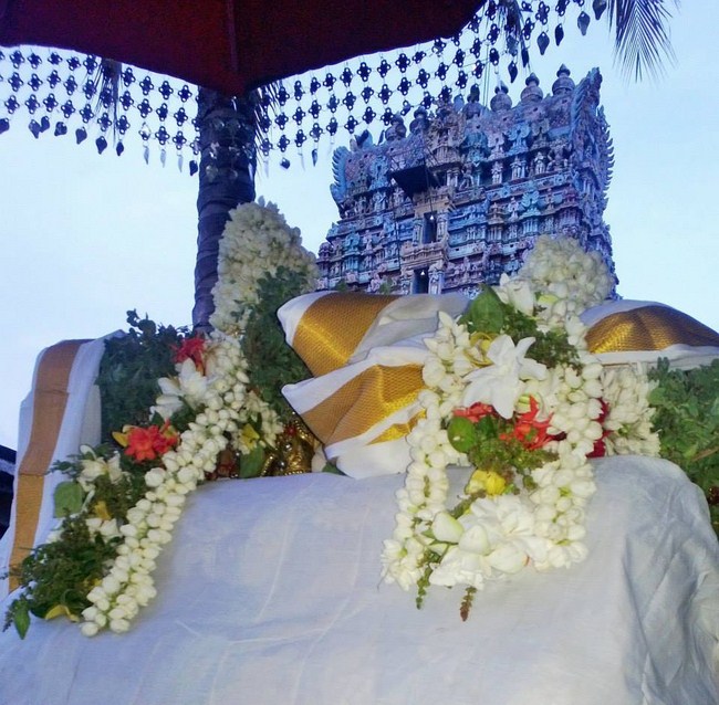 Vanamamalai Sri Deivanayaga perumal vasanthotsavam 12